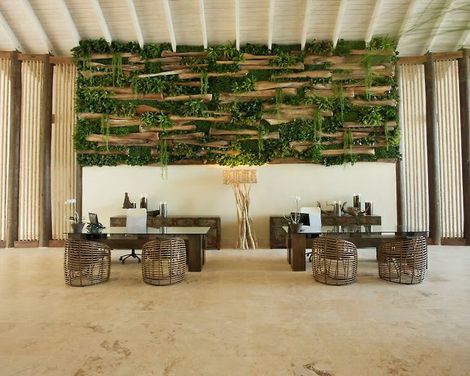 Viva V Samana by Wyndham, A Trademark Adults All Inclusive-0