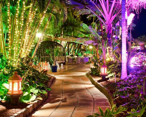 Hotel Parque Tropical-4