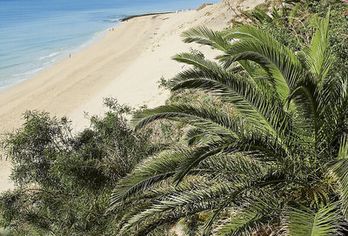 allsun App.-Hotel Esquinzo Beach