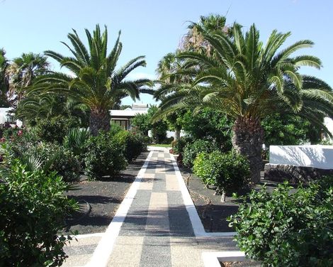 Bungalows Playa Limones-3