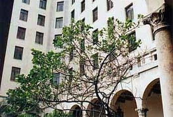 Hotel, Hotel Nacional De Cuba