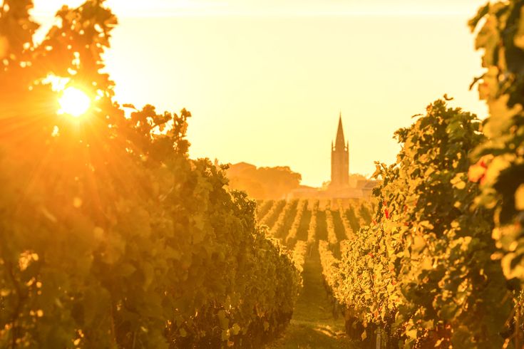 Bordeaux Urlaub Städtereise