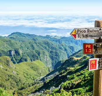 Eine grüne Berglandschaft mit einem Wanderweg und einem Wegweiser.