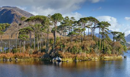 Connemara Urlaub Header