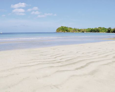 Twin Lotus Resort & Spa-1