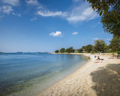 Campsite Polari Mobile Homes-0