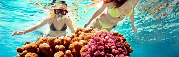 Ein lebendiges Korallenriff unter Wasser, reich an verschiedenen Korallenarten und bewohnt von bunten Rifffischen.