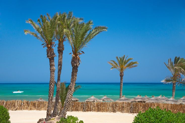 Tunesien Urlaub - Djerba Insel