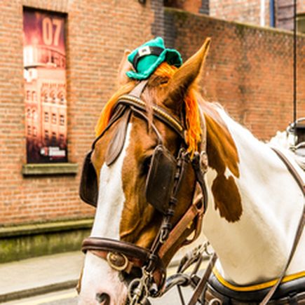 Irland Dublin St Patricks Day 