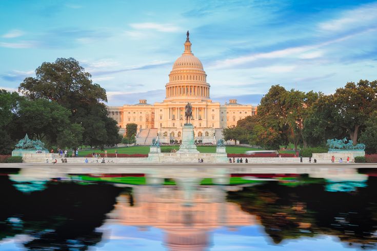 Washington D.C.