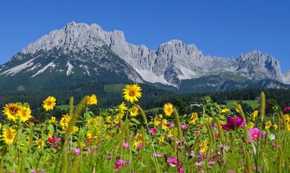 Bergkette wilder Kaiser Tirol