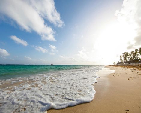 Royalton Punta Cana An Autograph Collection All-Inclusive Resort & Casino-0