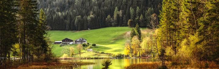 Der Bayerische Wald mit einem See, umgeben von grünen Bäumen und Bergen.