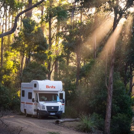Camper Australien Urlaub Reisen Wohnmobil auf einem Waldparkplatz