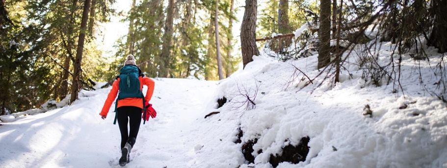 Winterwandern