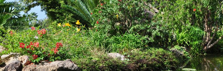 Blick auf den botanischen Garten La Mortella.