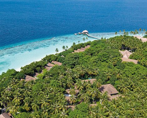 Reethi Faru Resort-1