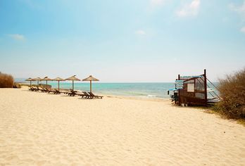 Hotel, Insotel Hotel Formentera Playa
