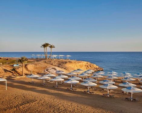 JAZ Neo Reef Marsa-0
