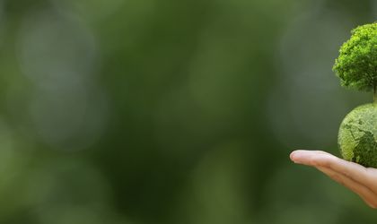 Frau hält kleine grüne Weltkugel mit BAum in der Hand