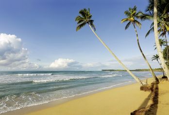 Hotel, Viva V Samana by Wyndham, A Trademark Adults All Inclusive