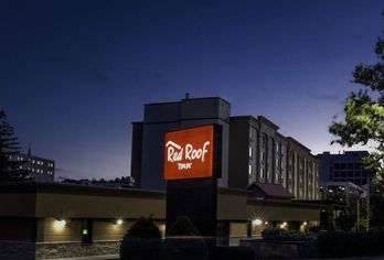 Hotel, Red Roof Inn Hartford - New Britain