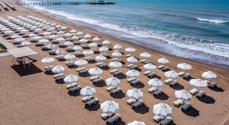 Barut GOIA