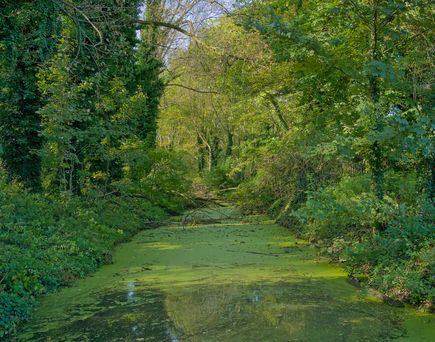 NAtur in Belgien
