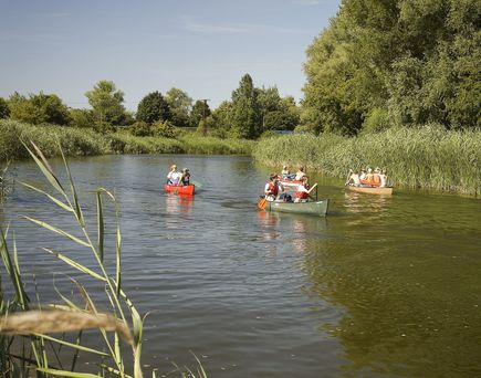 Ruhiger See mit Steg und Booten, umgeben von Bäumen, spiegelt den blauen Himmel.