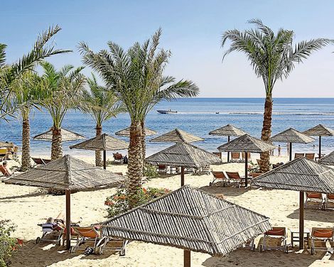 Miramar Al Aqah Beach Resort-0