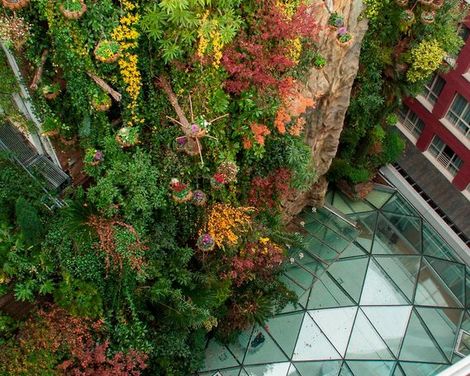 Inhala Hotel Garden-0