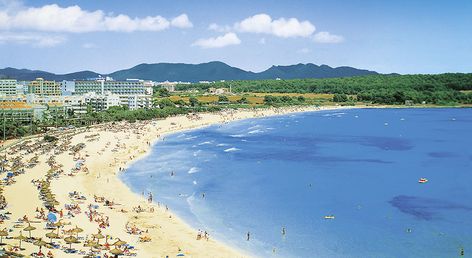 allsun App.-Hotel Orient Beach