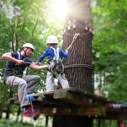 Kletterwald