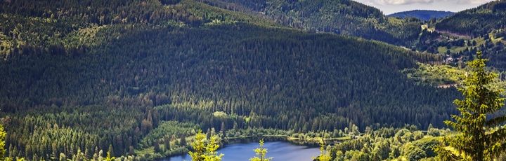 Panorama Schluchsee 