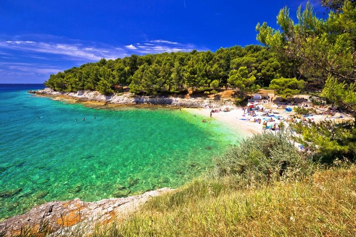 Ein Sandstrand mit türkisblauem Wasser und grüner Vegetation.