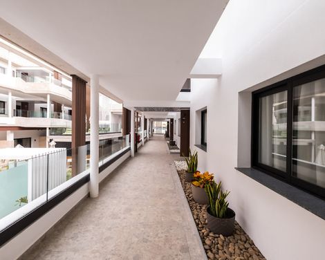 Coral Cotillo Reef-4