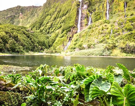 Eine Landschaft mit einem See oder Fjord, umgeben von grünen Hügeln.