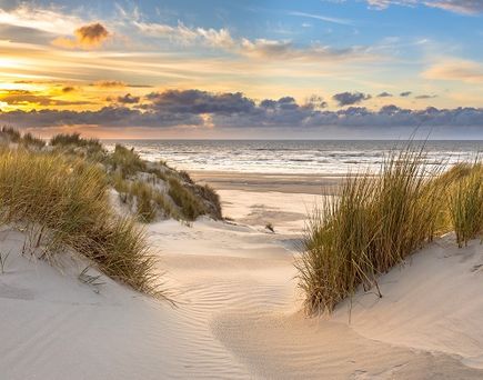 Ein Sandstrand mit Dünen und Gras.