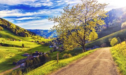 Schwarzwald