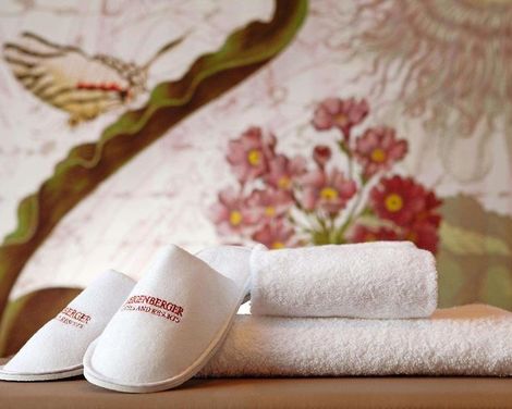 Steigenberger Parkhotel Braunschweig-3