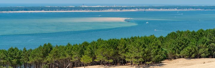 Blick auf die Dünen mit Wasser und Bäumen im Hintergrund.