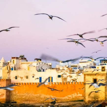 Silhouette der Hafenstadt Essaouira mit Möwen