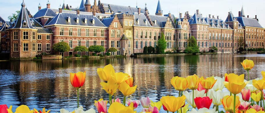 Niederlande, Tulpen