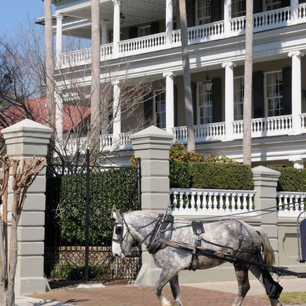 Charleston South Carolina