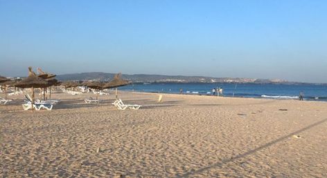 Marina Palace
