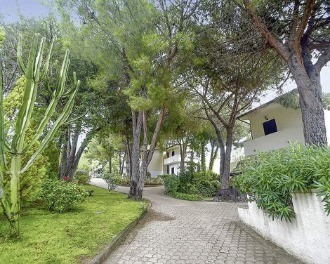 Hotel Villaggio Pineta Petto Bianco-1