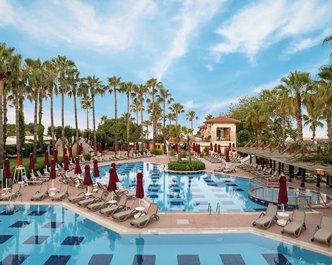 Trendy Palm Beach-2