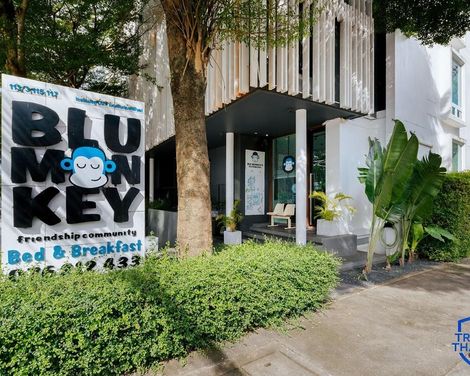 Blu Monkey Bed & Breakfast-3