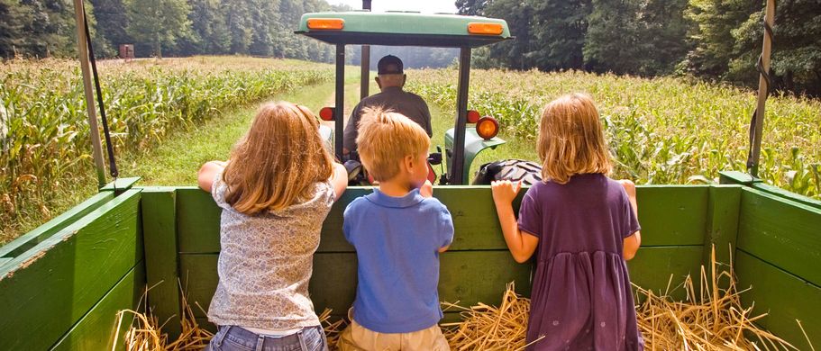 Familienurlaub Bauernhof Kinder im Anhänger eines Traktors