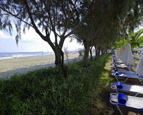 Malia Bay Beach Hotel & Bungalows-1